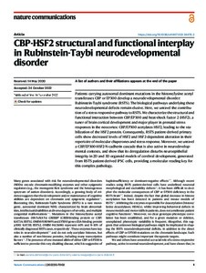 CBP-HSF2 structural and functional interplay in Rubinstein-Taybi  neurodevelopmental disorder
